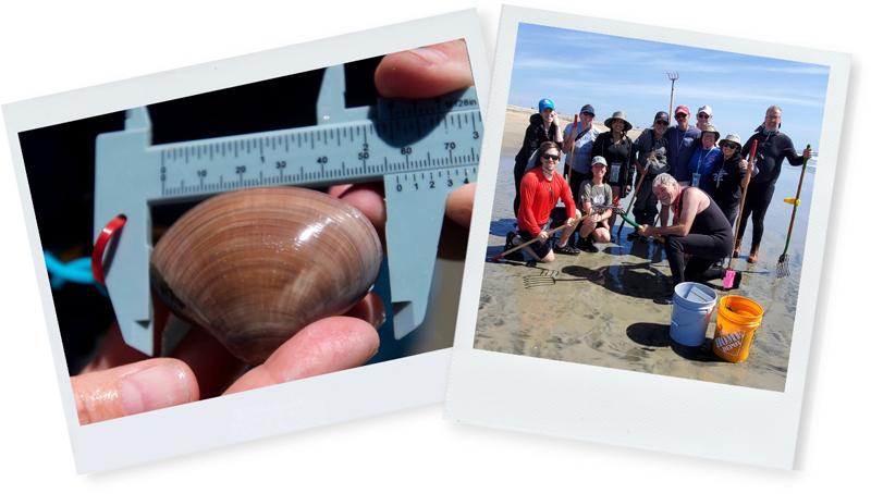 Two photos: A pismo clam, and a group of volunteers with Get Inspired