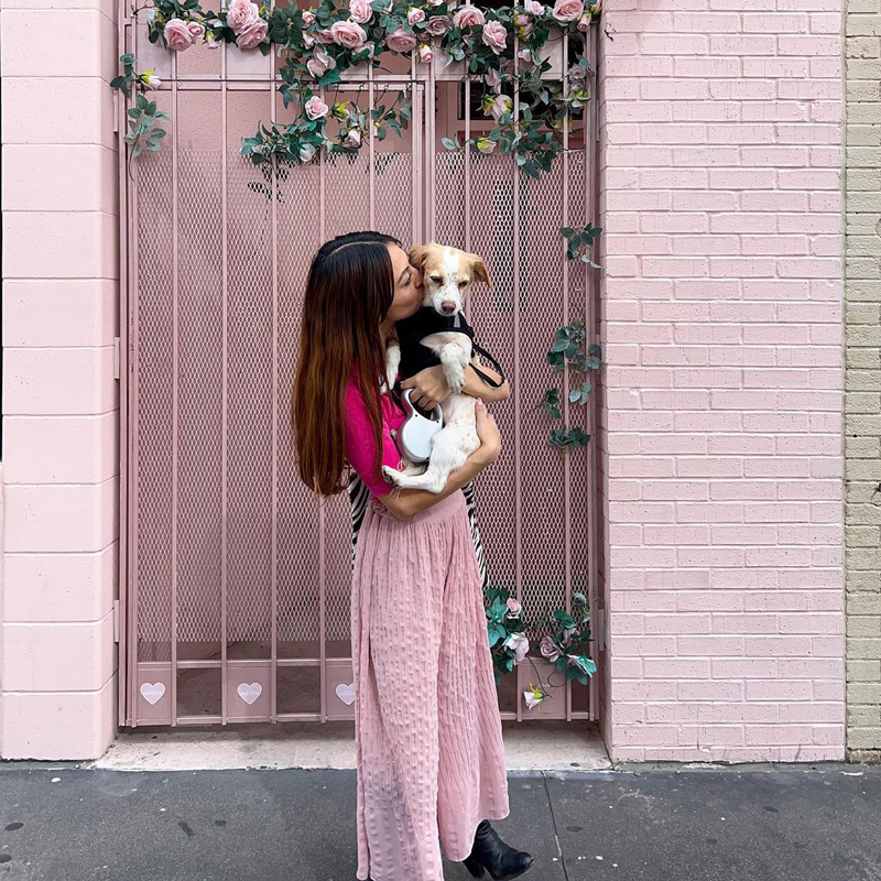 @santosha.day Two photos: group of volunteers with Mariposas Sin Fronteras, and volunteers doing yardwork